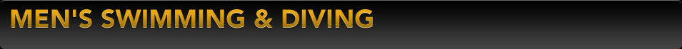  Men's Swimming & Diving Icon 